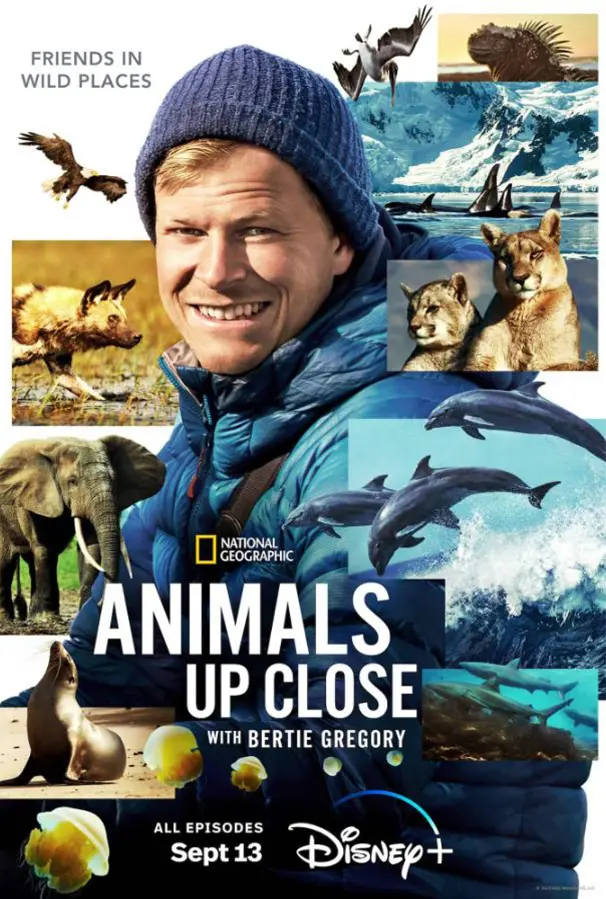 Best wildlife Documentary 2024